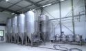 Beer fermentation tanks