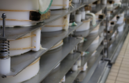 Vertical presses for cheese and ricotta
