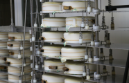 Vertical presses for cheese and ricotta